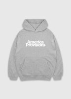 Athletic Heather America Provisions Logo Female relaxed graphic hoodie printed and shipped from the USA