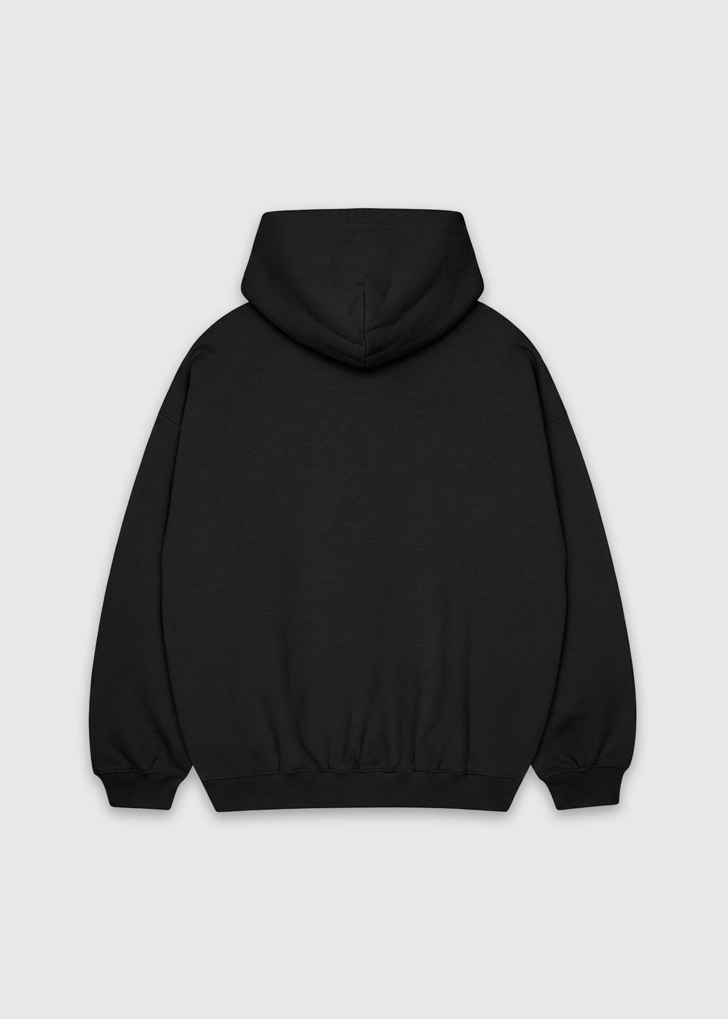 Back shot of black America Provisions Logo Female relaxed graphic hoodie printed and shipped from the USA