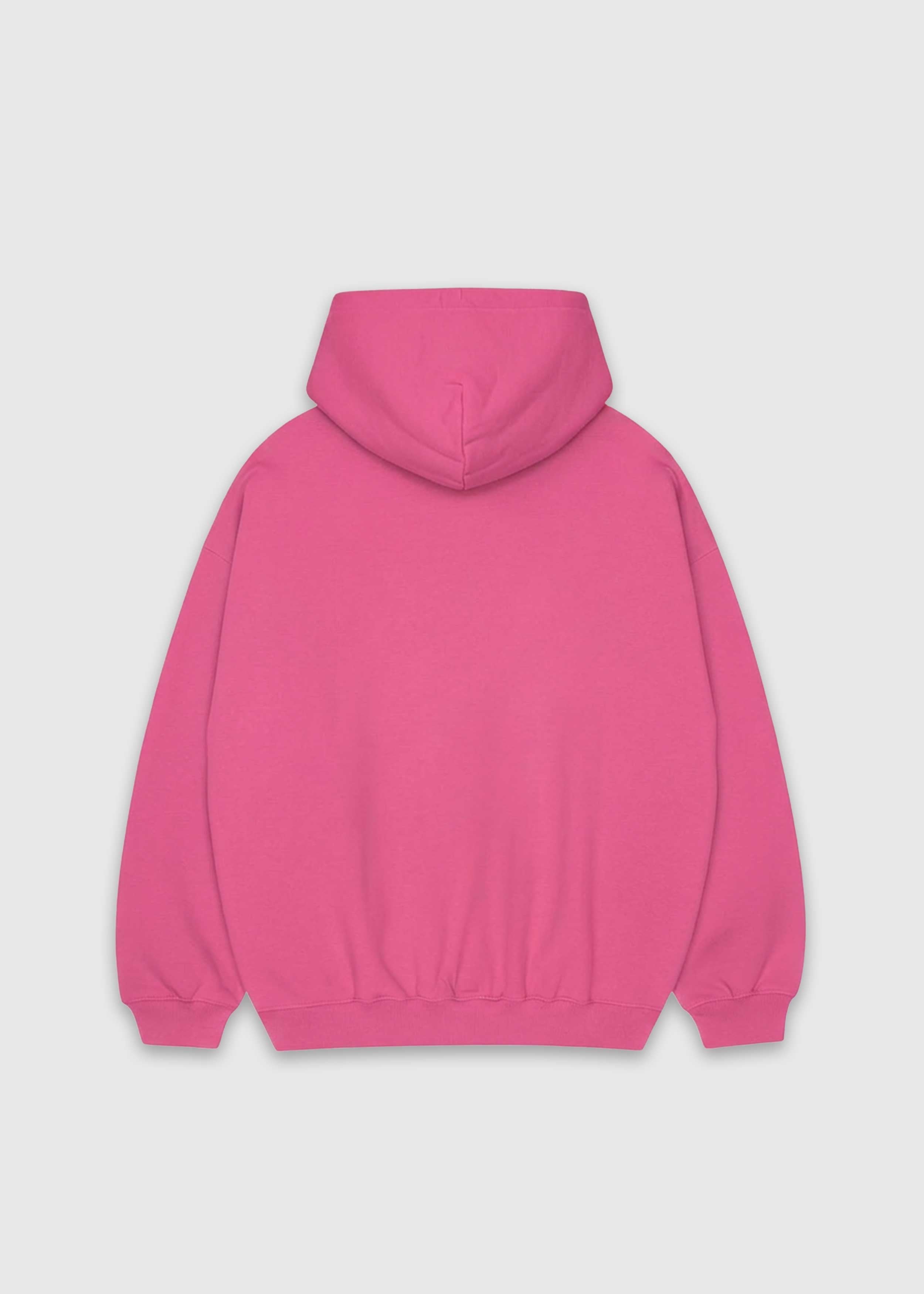 Back shot of charity pink America Provisions Logo Female relaxed graphic hoodie printed and shipped from the USA