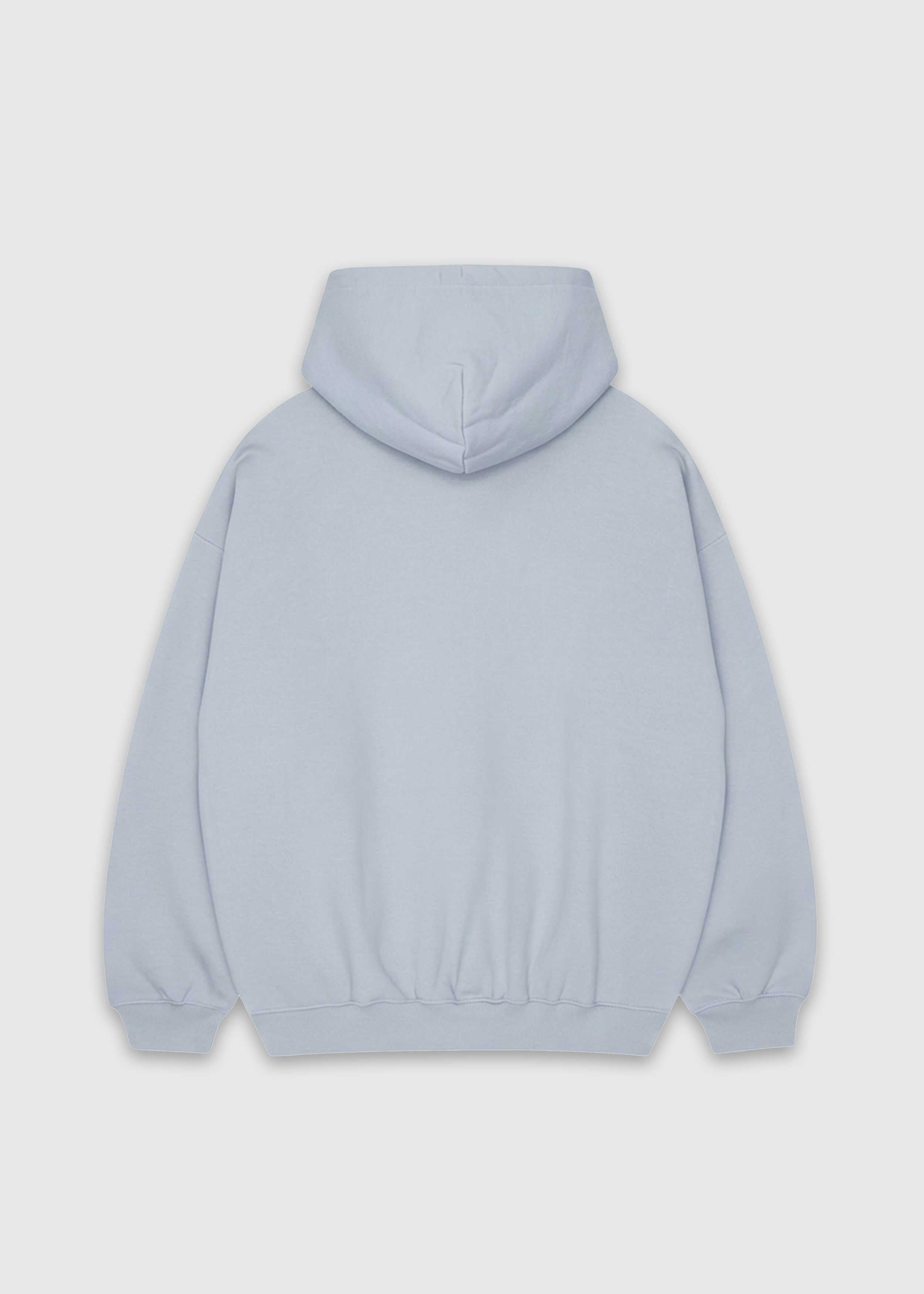 Back shot of powder America Provisions Logo Female relaxed graphic hoodie printed and shipped from the USA