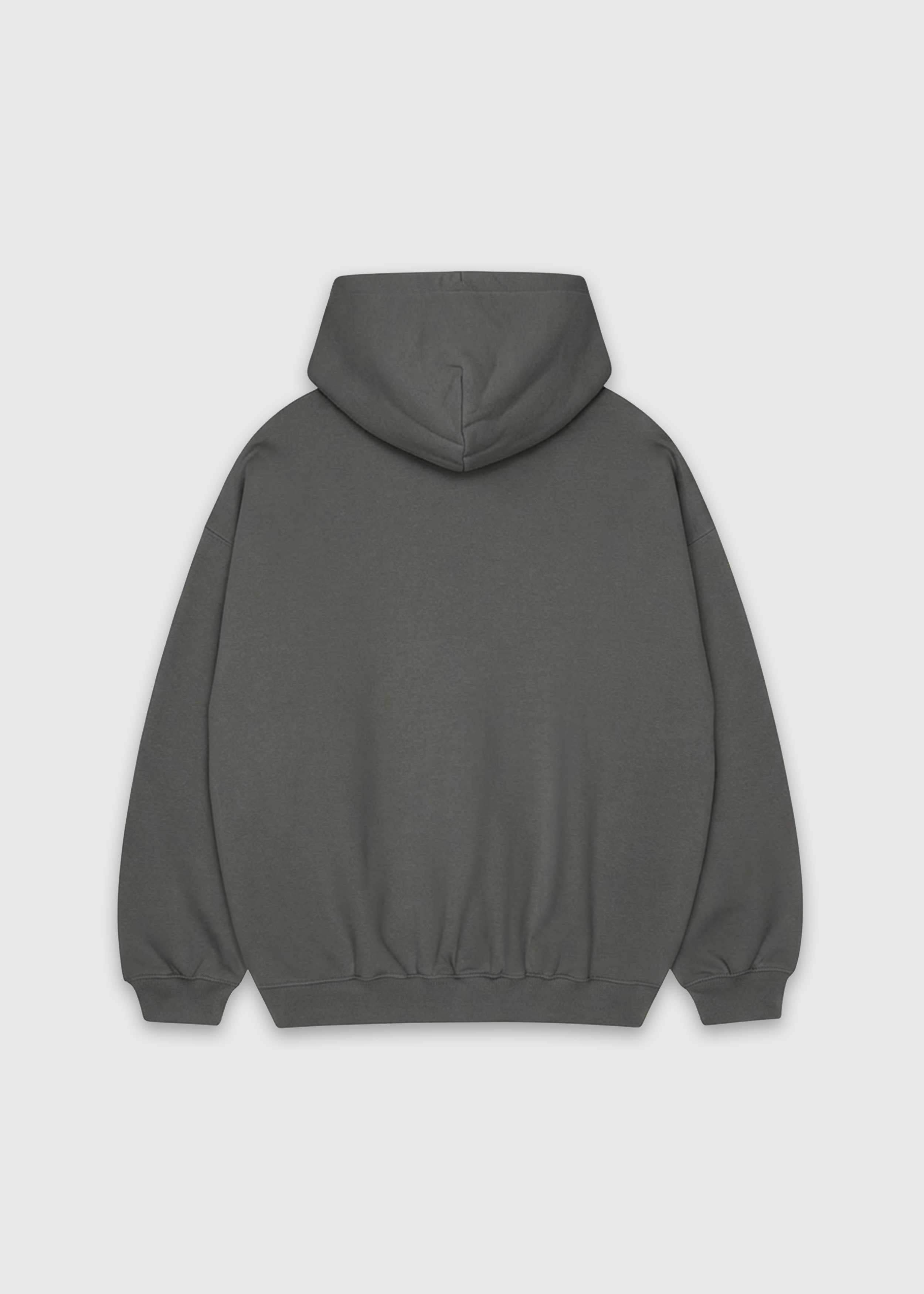 Back shot of shadow America Provisions Logo Female relaxed graphic hoodie printed and shipped from the USA